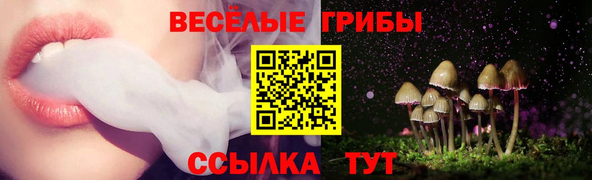 магазин  наркотиков  Псилоцибиновые грибы ЛСД  Вход с VPN  Донецк 